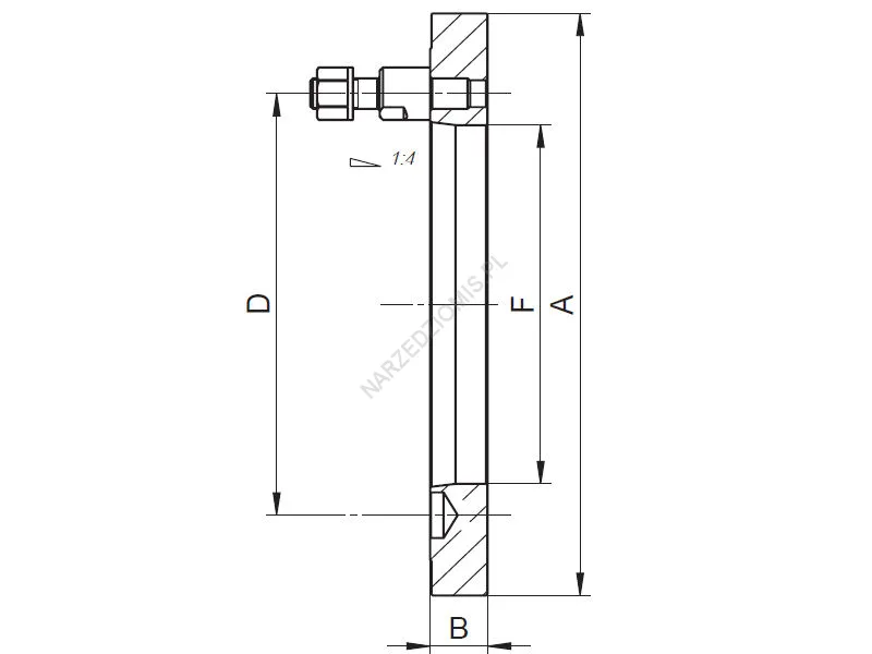 Rysunek techniczny: Tarcza zabierakowa nieobrobiona T.8232 125 ST3 (BAGNETOWE) - BISON-BIAL